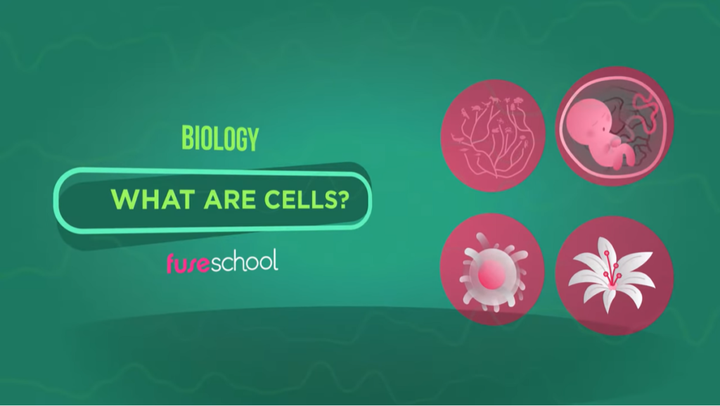 What are cells by FuseSchool - Global Education
