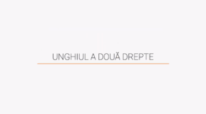 Unghiul a doua drepte - Examenul tau